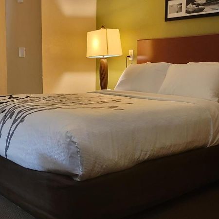 קולומביה Sleep Inn Near Ft Jackson מראה חיצוני תמונה