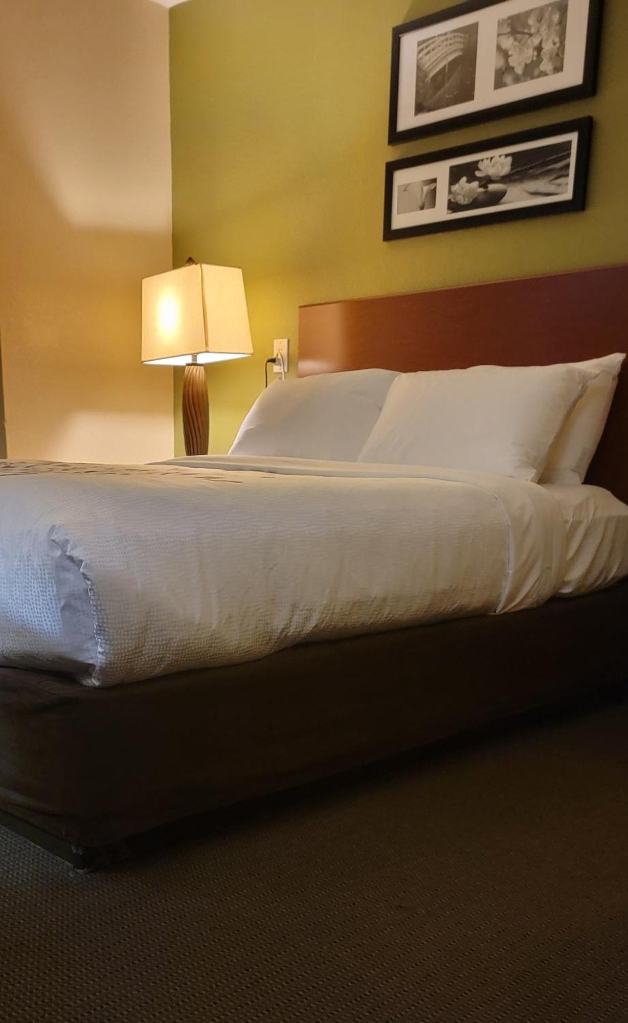 קולומביה Sleep Inn Near Ft Jackson מראה חיצוני תמונה